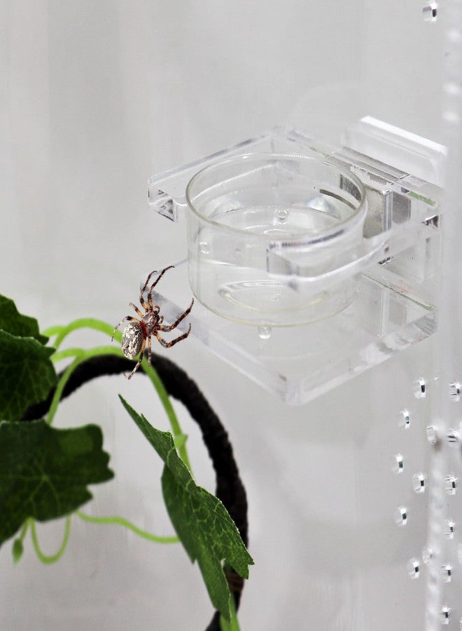 Oooct 2 Pack Jumping Spider Feeding Dish - Transparent Acrylic Magnetic Tarantula Food Bowl and Water Dish - Enclosure Accessories for Small Spiders - Image 4